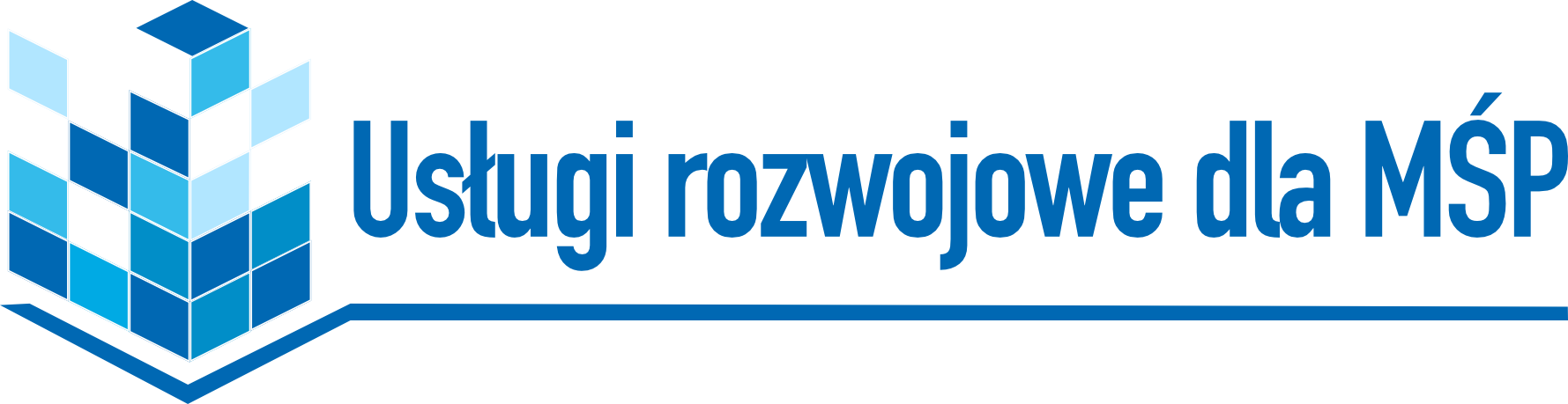Logo 8.2.2 PSF2 kolor